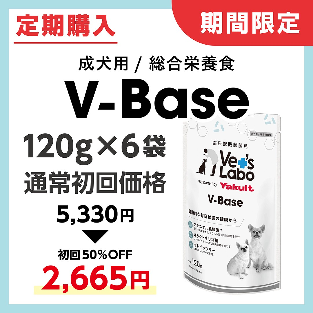 V-Base 120g