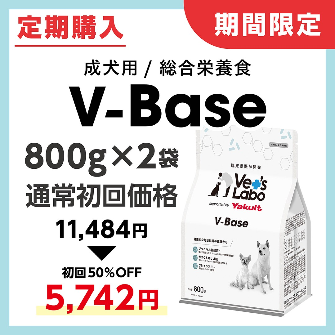 V-Base 800g