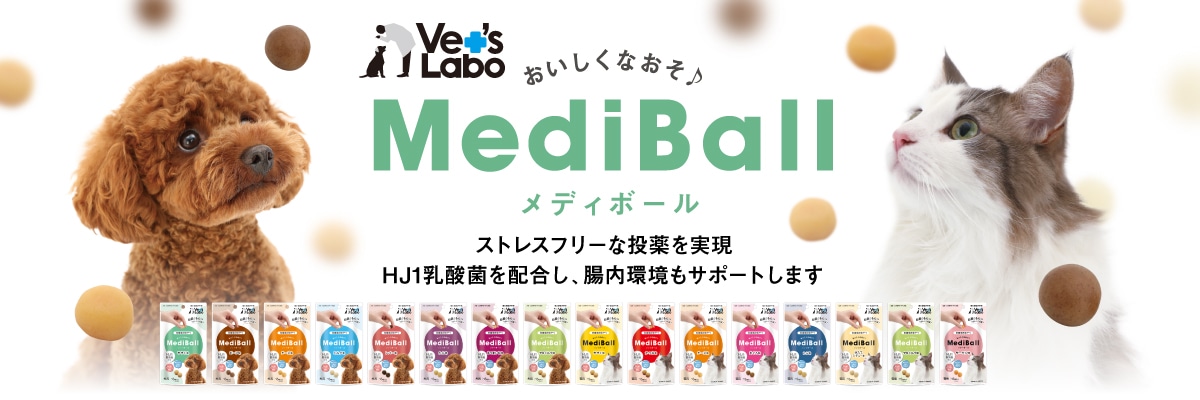 メディボール