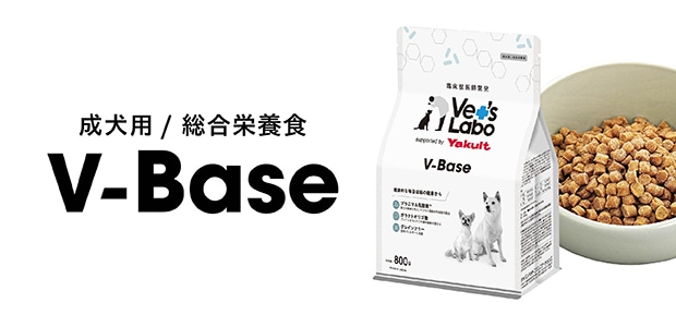 V-Baseブイベース