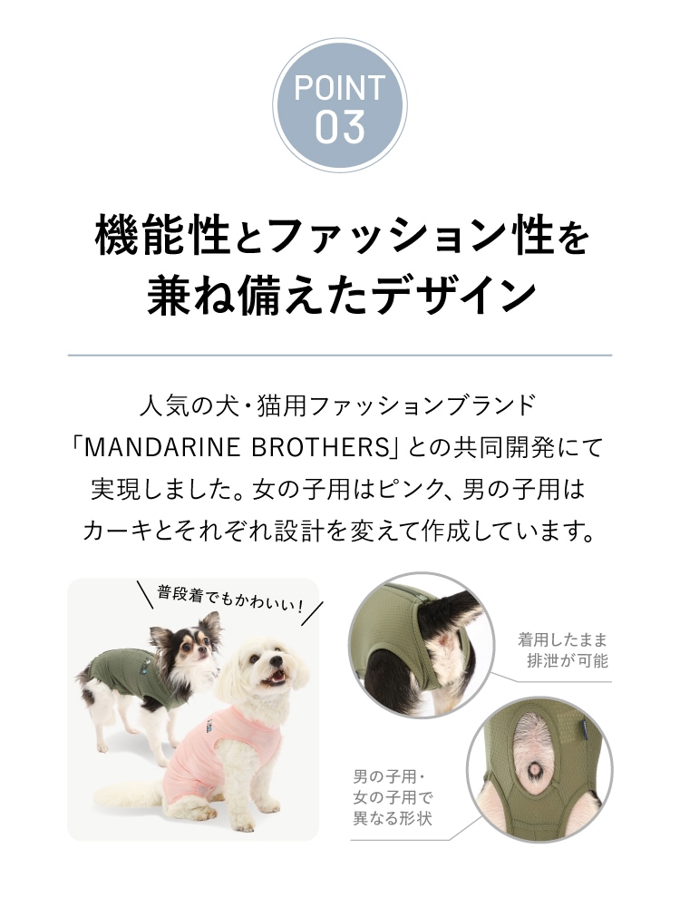 ３つのポイントその3