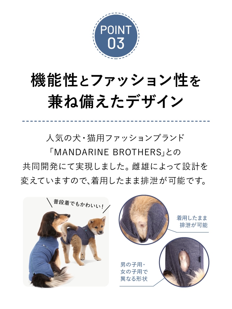 ３つのポイントその3