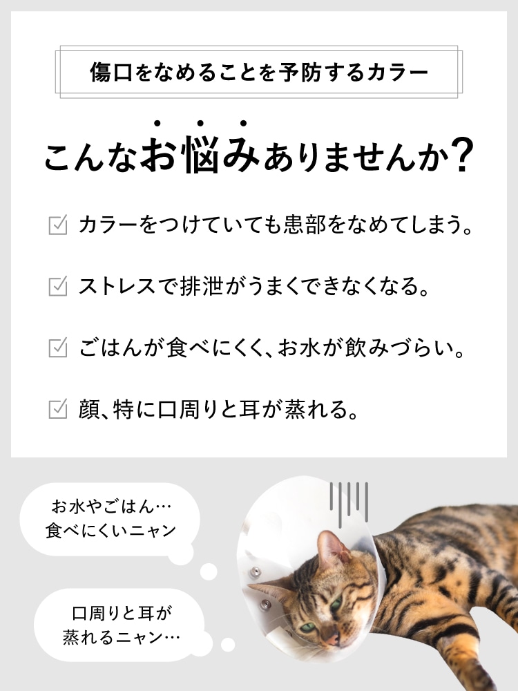 おなやみ> 
 <img src=