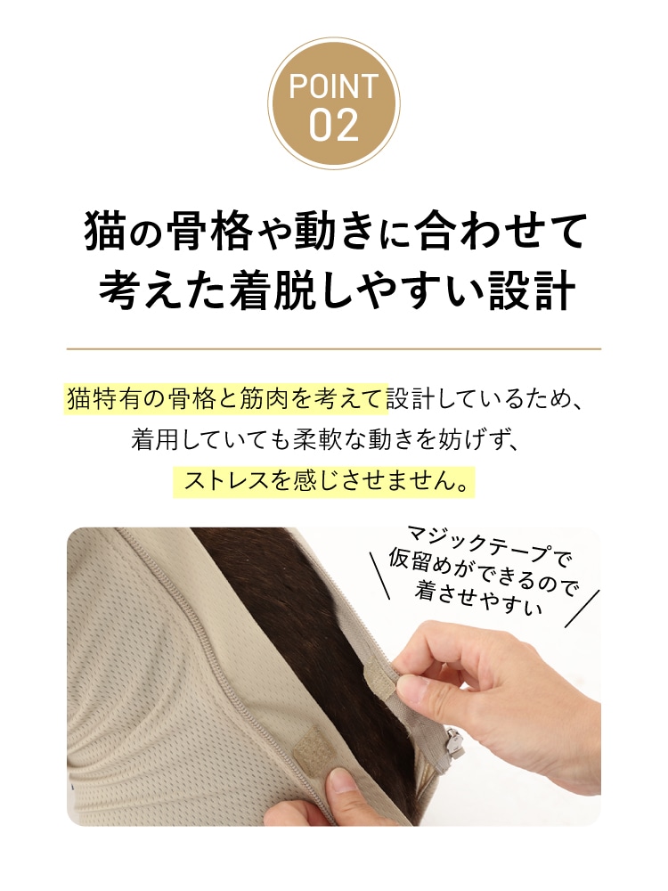 ３つのポイントその2