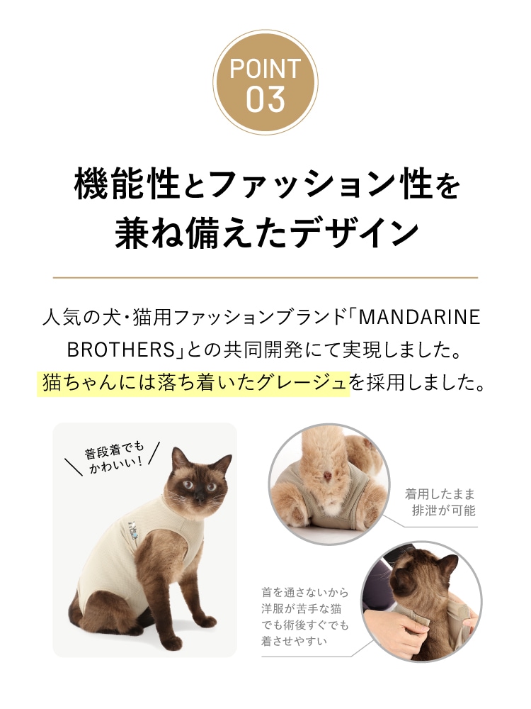 ３つのポイントその3