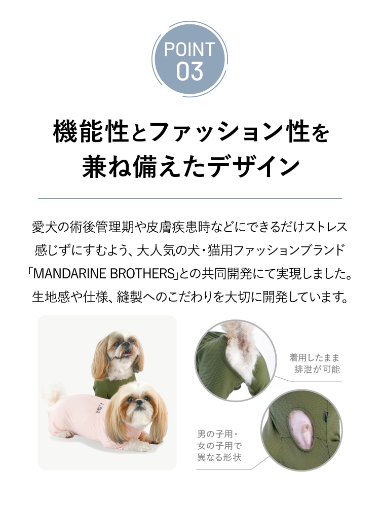 ３つのポイントその3