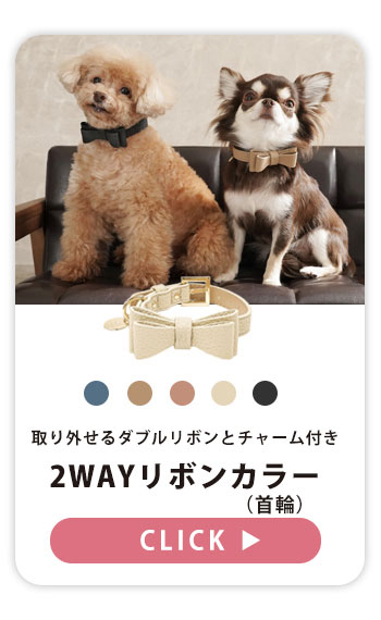 リボンハーネス 犬 ハーネス 胸パッド付き 胴輪 メッシュ