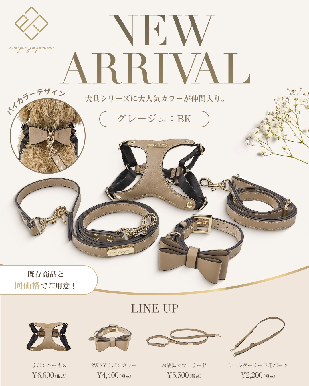 compet×e.x.p.japon