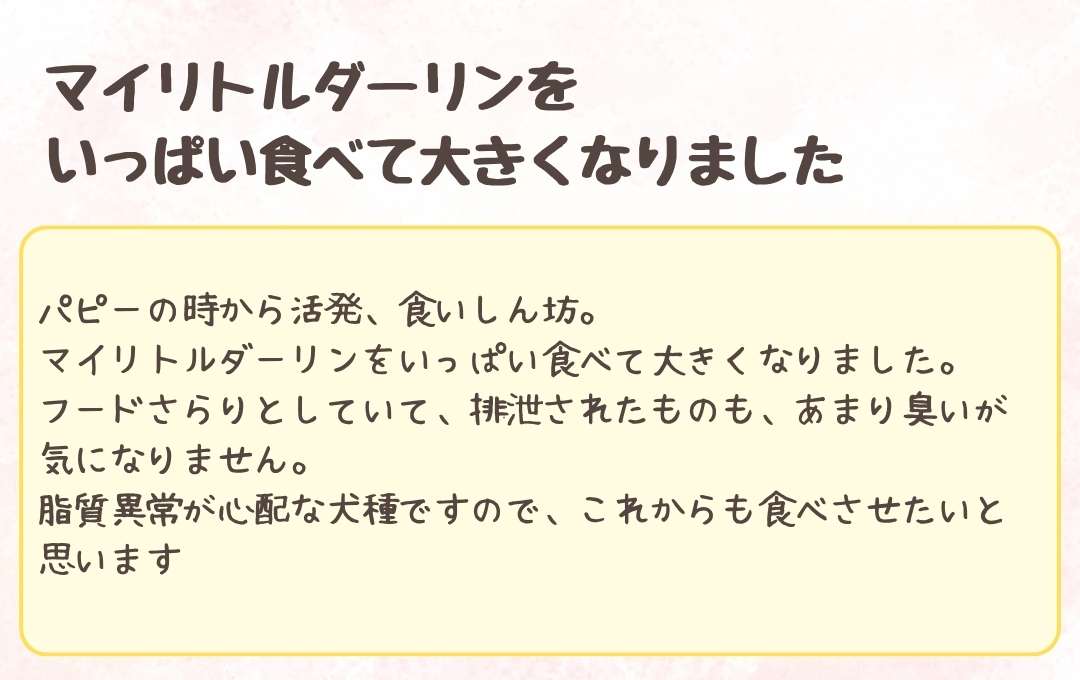 お客様のコメント3
