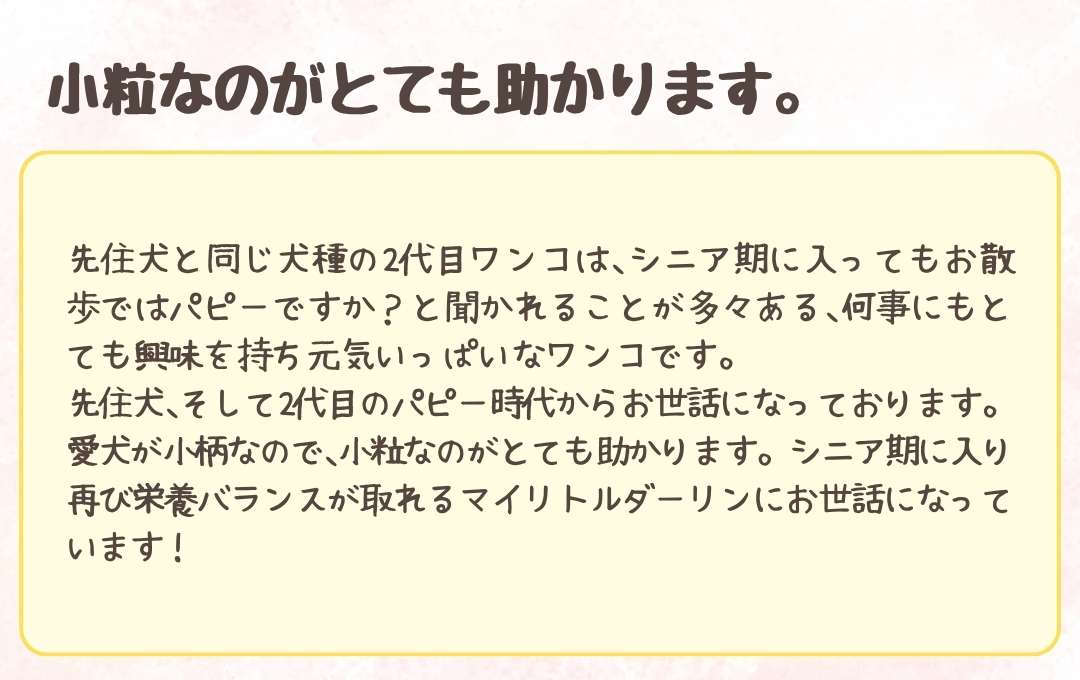 お客様のコメント1