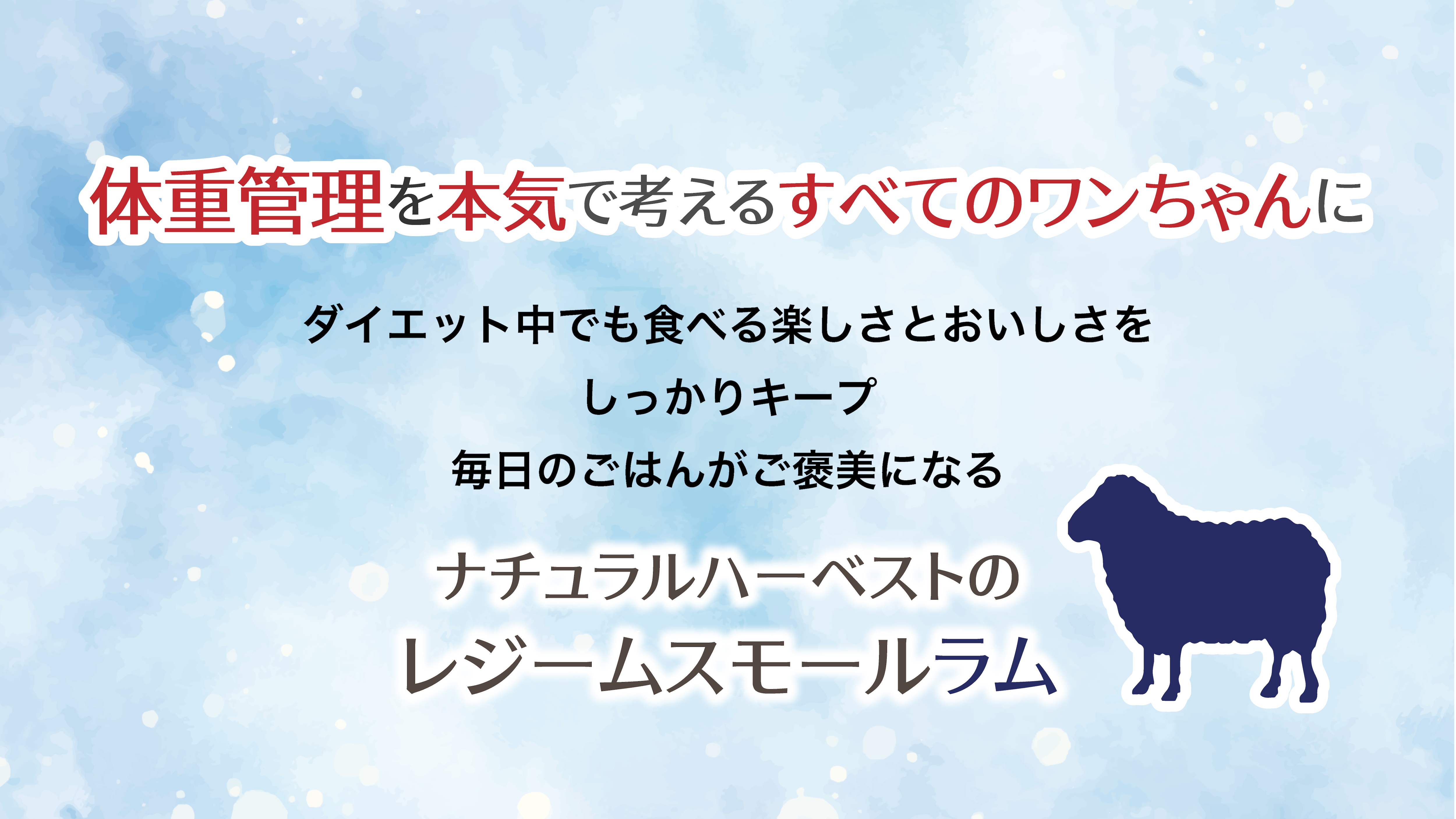 NATURAL Harvest ドライフード レジーム スモール ラム 3袋 レジーム スモール[ラム] 【ダイエット用食事療法食】｜ナチュラル