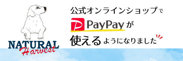 お支払い方法にPaypayがご利用いただけます