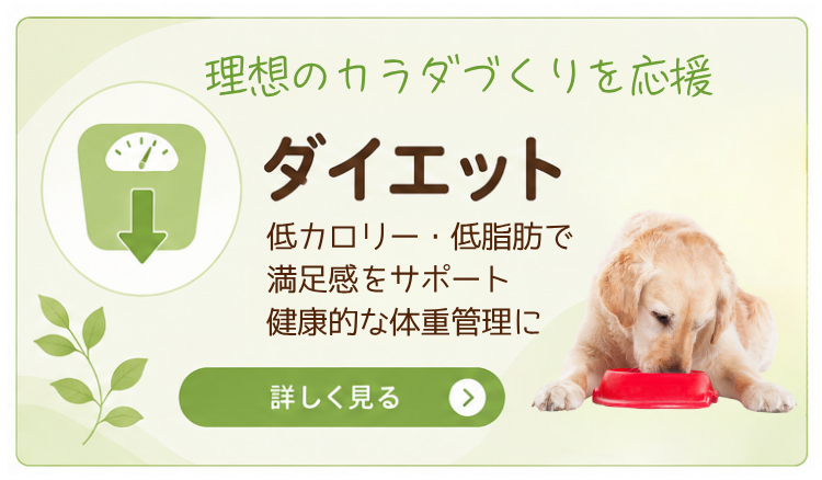ダイエット