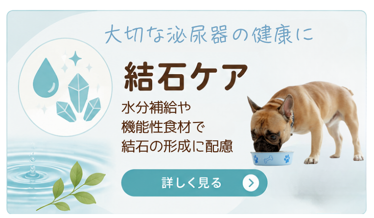 結石ケア