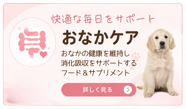 おなかケア