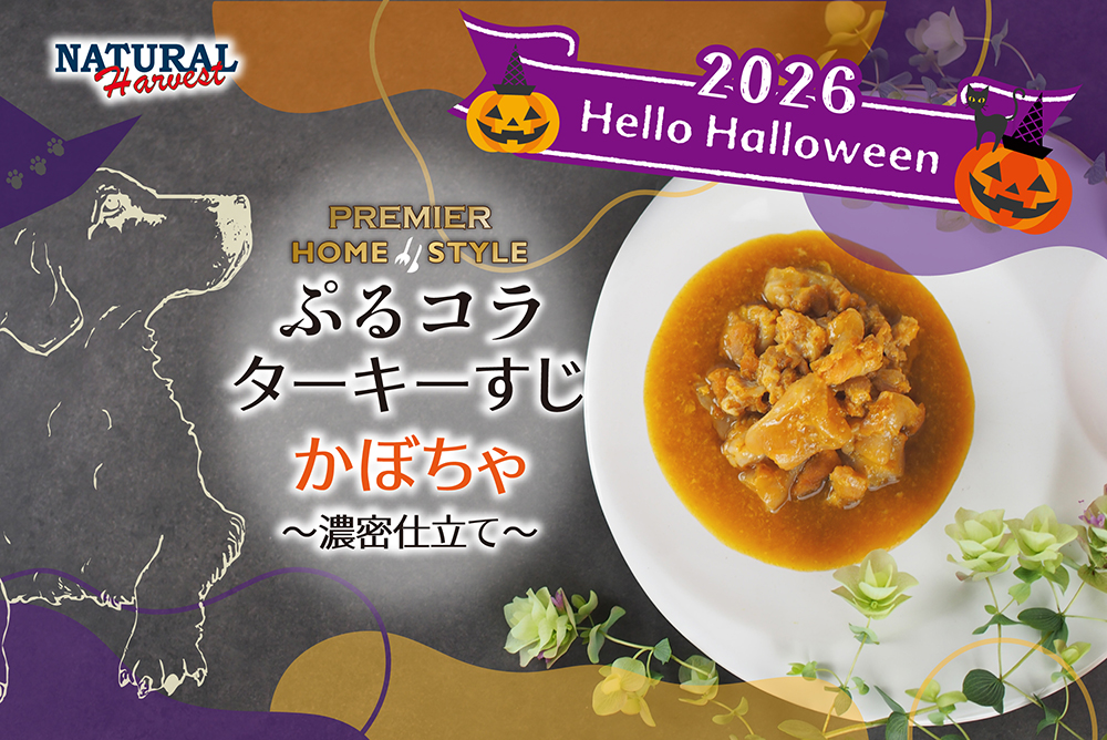 ぷるコラターキーすじかぼちゃ