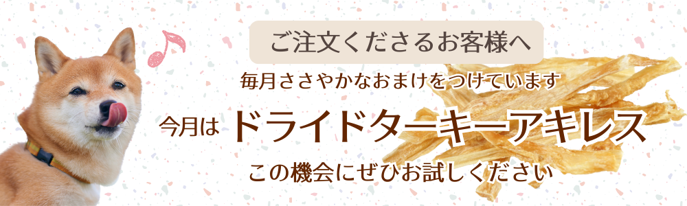 今月のおためし