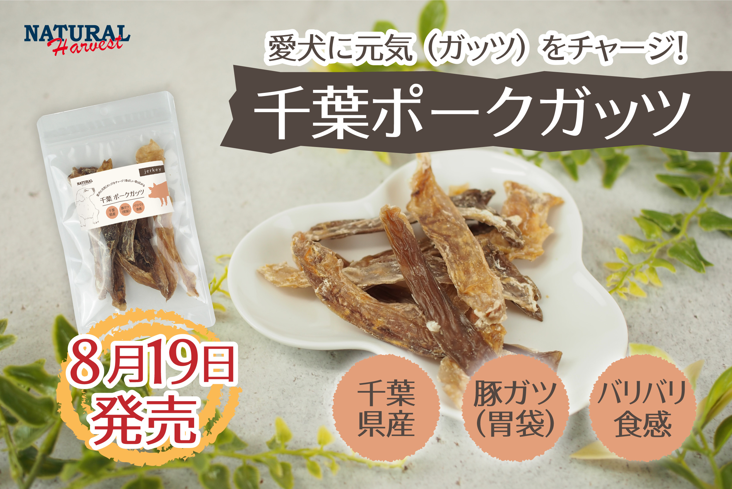 千葉ポークガッツ
