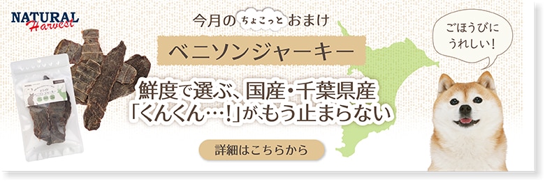 今月のおためし