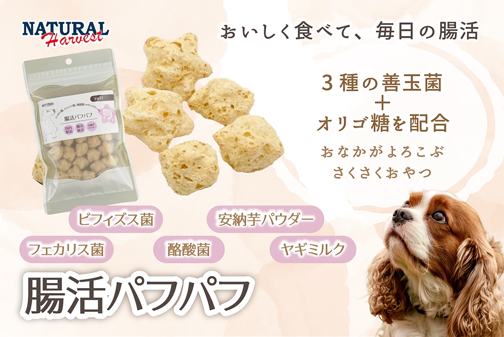 腸活パフパフ