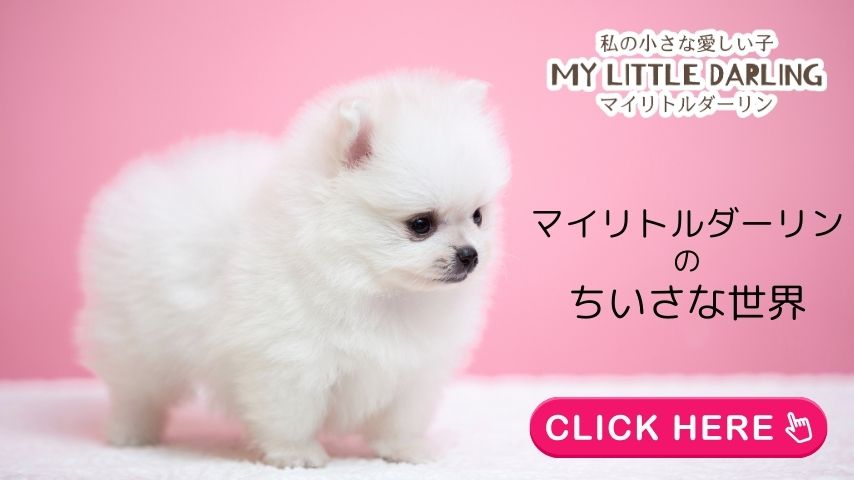 マイリトルダーリン特集ページ