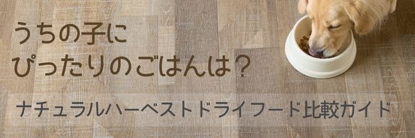ドライフード比較ガイド