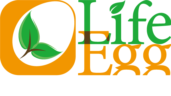 lifeegg