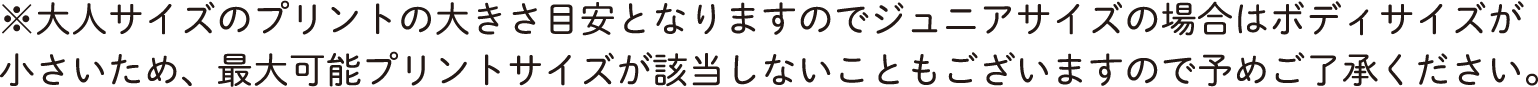 ※大人サイズのプリントの大きさ目安となりますのでジュニアサイズの場合はボディサイズが
小さいため、最大可能プリントサイズが該当しないこともございますので予めご了承ください。