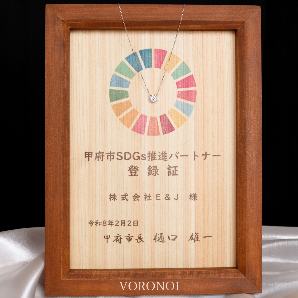 甲府市SDGs推進パートナー登録証