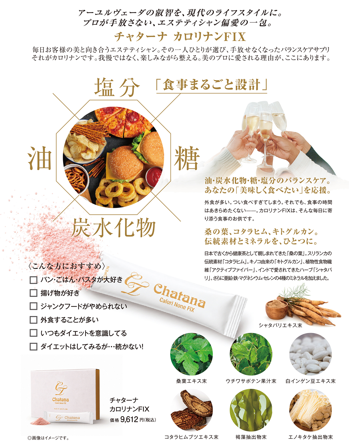 チャターナ カロリナンFIX ｜ VAN-VEAL オンラインショップ