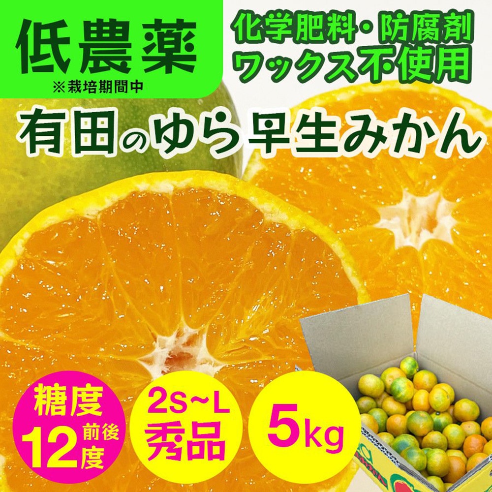 和歌山 温州みかん 5kg 秀品2S～L