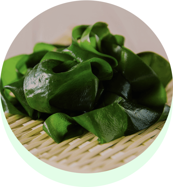 三陸わかめ屋ムラカミ