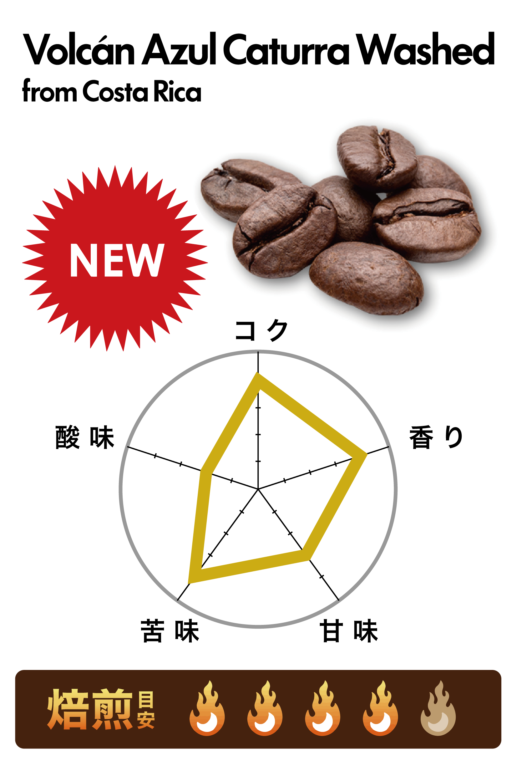 �ܥ륫�� �������� ���ȥ����� �����å���� /�������ꥫ