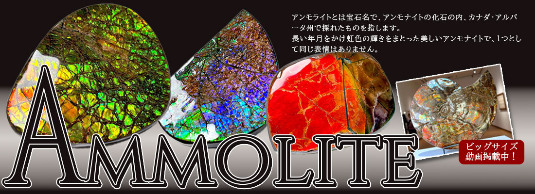 アンモライト