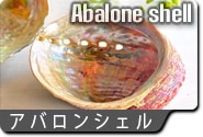 アバロンシェル