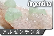 アルゼンチン産蛍