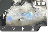 インド
