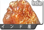 インド