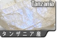 タンザニア