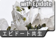 エピドート