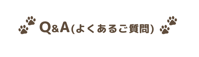 インフォメーション