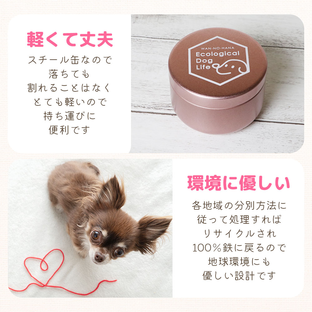 わんのはな おやつカプセルピッコロ ピンク