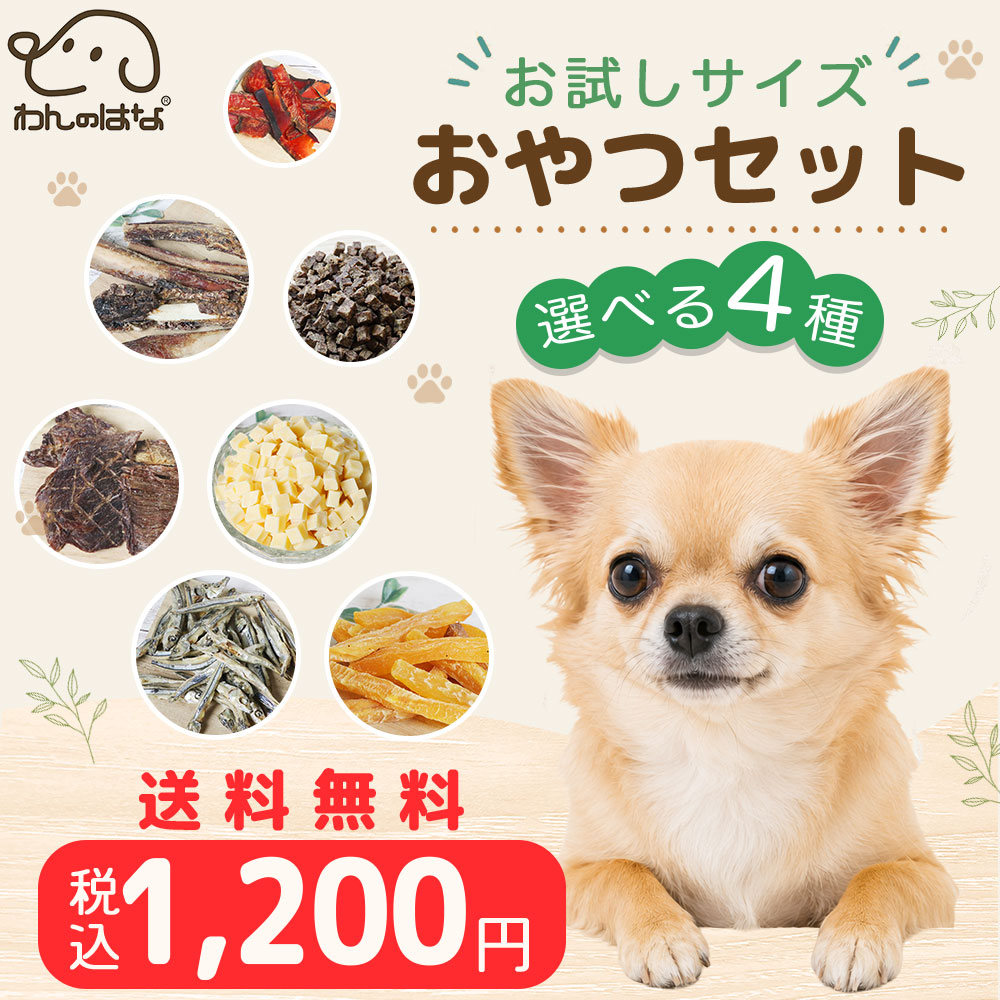 選べるお試し４種ミニセット
