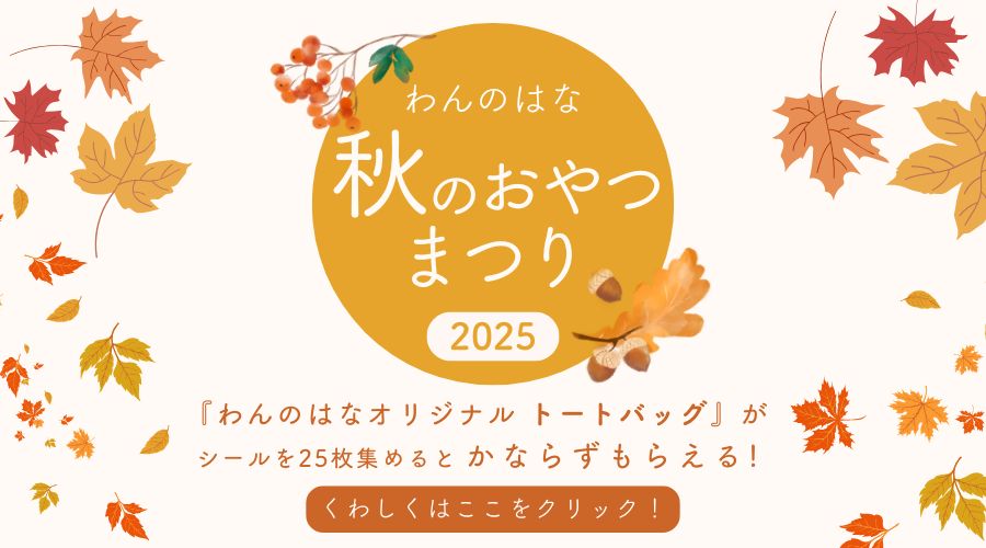 わんのはな～秋のおやつ祭り～