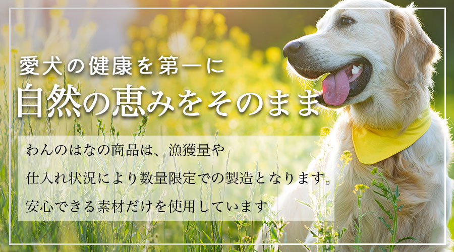 わんのはな 選べるおやつセット