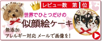 犬用の似顔絵ケーキ,世界でひとつだけの可愛いＣａｋｅ、無添加、ヘルシーで低カロリーＷＡＮＢＡＮＡワンバナ全国通販！