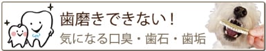 犬,おやつ,無添加,ジャーキー,サメ,軟骨,関節,国産,淡路島産,骨,強化,グルコサミン,コンドロイチン,カ,ルシウム,サプリメント,シニア,おすすめ,デンタルケア,マウスケア,,ワンバナ,WANBANA