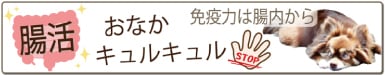 犬,下痢,粘膜便,消化不良,お腹弱い,腸内環境,改善,整える,乳酸菌,プロバイオティクス,消化を助ける,改善,原因,脱水,炎症,相談,ワンバナ,ＷＡＮＢＡＮＡ