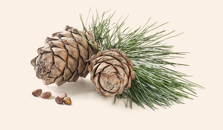 ���Ӻ¿��������������������å� ���᡼����