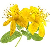 �����襦���ȥ��꥽���֡��ա��ԥ�����